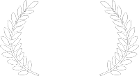 village voice poll award