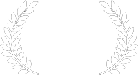 MTV movie and tv 2022 1